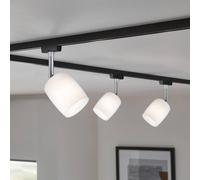 Paulmann URail Spot Blossom black, satin glass