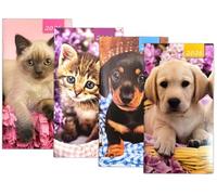 PaulStore 2026 Slim Week To View 2WTV: Kittens & Puppies Slim Pocket Animal Flush Cut Diary (Kitten)