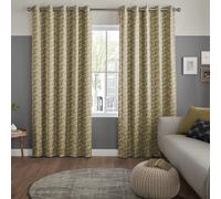 Pavard Zest Curtain
