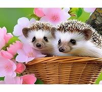 Pavemlo 5D Diamond Painting Kits for Adults Flowering Hedgehog, Full Drill Diamond Art Animal Pictures Paint with Diamonds, DIY Cross Stitch Jewel Art Rhinestone Craft for Home Wall Decor 12x16inch