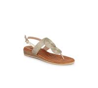Pavers Women's Buckled Toe Post Sandals in Gold | Size: 6 Pavers Gold 6