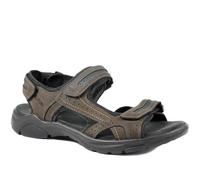 Pavers Comfy Triple Touch Fasten Sandals - Dark Brown Size 8