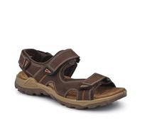 Pavers Mens Casual Dual Touch-Fasten Sandals Brown Size 9