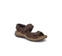 Pavers Men's Casual Dual Touch-Fasten Sandals in Brown | Size: 11 Pavers Brown 11