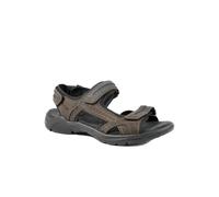 Pavers Comfy Triple Touch Fasten Sandals - Dark Brown Size 9