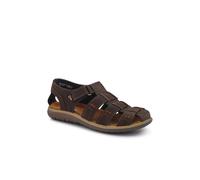 Pavers Men's Leather Touch-Fasten Sandals in Dark Brown | Size: 8 Pavers Dark Brown 8