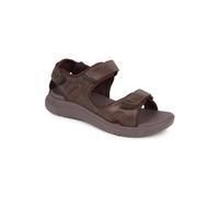 Pavers Touch-Fasten Sandals - Dark Brown Size 8