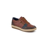 Pavers Womens Zip & Lace Multi-Tone Trainers | Autumn Winter Collection | Lace Up Shoe | Zip