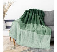 PAVILIA Fluffy Sherpa Throw Blanket Ombre | Gradient Plush, Soft, Fuzzy, Decorative Accent Throw Blanket for Couch Sofa Bed | Cozy Warm Decorative Furry Faux Fur Blanket, 50x60 Inches Green