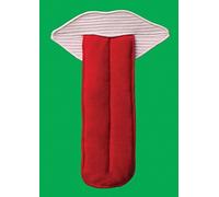 Pavillon de l'Esprit Nouveau: A 21st Century Show Home (Architecture and Design)