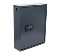 Pavo Key Cabinet 100 Hooks Electronic lock Smart Dark Grey