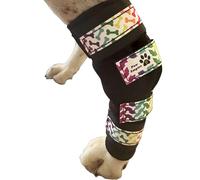 Paw Empire - Pair of Dog Leg Braces, Ultra Supportive, Comfortable, Dual Metal Springs, Canine Hock Brace for Joint Arthritis, Assists Injury & Sprains (Rainbow Dog Bone Background, Large)