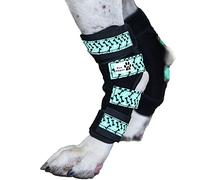 Paw Empire - Pair of Dog Leg Braces, Ultra Supportive, Comfortable, Dual Metal Springs, Hind Leg Wraps, Canine Hock Brace for Joint Arthritis, Assists Injury & Sprains (Light Blue Dog Bone, Large)