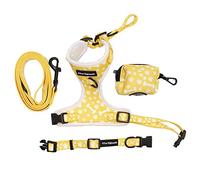 Paw Highness Dog Walking Harness, Collar, Leash & Poo Bag Holder Set in Paw and Bone Large