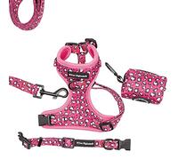 Paw Highness Dog Walking Harness, Collar, Leash & Poo Bag Holder Set in Pretty In Pink Large