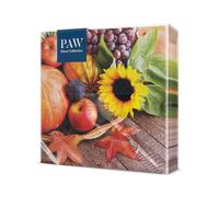 PAW - Napkins 3-Ply (33 x 33 cm) I 20 pcs I Perfect for Birthdays, Parties, Meetings I Autumn Table Decoration I Colourful Paper Napkins - Pumpkin Grapes Apple Sunflower I Autumn Treasures