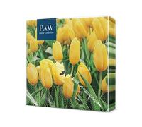 PAW Paper Napkins 33 x 33 cm, 20 Pack - Tulips Field
