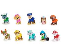PAW Patrol All Paws Gift Set 10 Figures