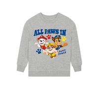 Paw Patrol Boys Jumper | Rubble, Marshall And Chase Boys Sweatshirt | 100% Cotton Boys Jumper | Grey 3-4 Years