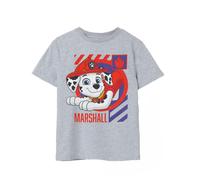 Paw Patrol Boys Grey Marshall Short Sleeved T-Shirt - 7-8 Years