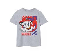 Paw Patrol Boys T-Shirt | Grey Marshall The Fire Pup Dalmatian Graphic Tee for Kids | Cartoon TV Show Short-Sleeve Top | Cute Daywear TV Show Character Merchandise Gift for Children