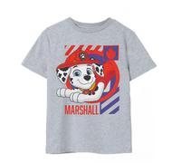 Paw Patrol Boys Marshall T-Shirt - Grey Marl - Grey Marl - 7-8 Years