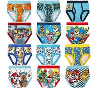 Paw Patrol Boys' Underwear Multipacks Briefs, Paw Tb 12pk_Box, 2-3 Years