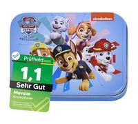Paw Patrol Children's Plaster - Metal Box - 24 Plasters - Beautiful Design Plaster Storage Box for Children - Suitable for Backpack - Handbag