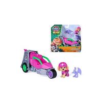 Paw Patrol Dino Movie One Colour