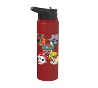 Paw Patrol Faces in Four Corners Stainless Steel Insulated Water Bottle
