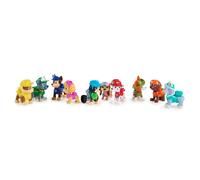 Paw Patrol Figure Gift Pack