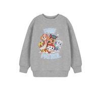 Paw Patrol Kids Sweatshirt (Unisex Kids Grey Marl) | Size: 2-3 Years Paw Patrol Grey 2-3 Years