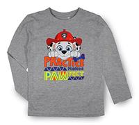 Paw Patrol Long Sleeve Cotton T-Shirt (UK, Age, 4 Years, 5 Years, Regular, Grey - Pawfect)