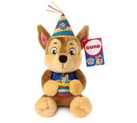 PAW PATROL n birthday chase