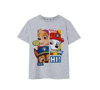 Paw Patrol Short Sleeved T-Shirt | Boys Grey Marl | Official Merch