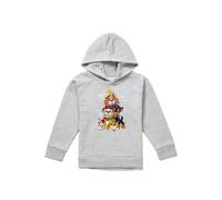 Paw Patrol Skye Chase Christmas Tree Youth Kids Pull-Over Hoodie, Athletic Heather Paw Patrol Grey 12-13 Years