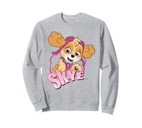Paw Patrol Skye Retro Cartoon Pose Adventure Girl Power Art Sweatshirt