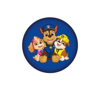 Paw Patrol Squad Filled Cushion