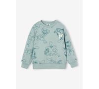 Paw Patrol® Sweatshirt for Boys aqua green
