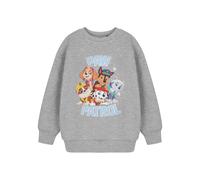 Paw Patrol Sweatshirt (Unisex Kids Grey)