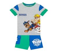 Paw Patrol T-Shirt and Shorts | Co Ord Set | Chase, Rubble, Skye and Marshall T Shirt and Short Set | Grey 5-6 Years