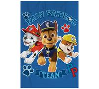 Paw Patrol Team Fleece Blanket