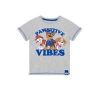 Paw Patrol Tshirt | Marshall and Chase Boys’ T-Shirts | Cotton Grey Tshirt for Kids | Grey 6-7 Years