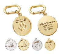 (Paw) Personalised Double-Sided Dog ID Tag, Stainless Steel Pet Name Tag, Laser Engraved Collar Charm, Gold or Silver