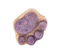 Paw Shape Cat Snacks, Temptation Cat Treats Training Cat Treats Natural, Healthy Cat Snacks Treats Oral Cleaning Cat Snacks For Indoor Outdoor Cats