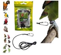 Paw Strap for Your Parrot's Ring 2 mm Elastic 1 m Harness for Also as a Leash of Our Harness with Screw Hook 38 mm Thick 2.5 mm