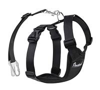 Pawaboo Dog Safety Vest Harness, Pet Car Harness Vehicle Seat Belt with Adjustable Strap and Buckle Clip, Easy Control for Driving Traveling Safety for Small Medium Dogs Cats, Small, BLACK