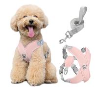 Pawaboo Puppy Harness and Lead Sets, Small Dog Harness X-Frame No Pull No Choke, Dog Vest Harness Adjustable for Small Medium Sized Dogs, Soft Breathable Pet Harness Walking Outing Outing (M, Pink)
