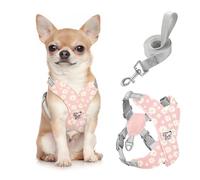 Pawaboo Puppy Harness and Lead Sets, Small Dog Harness X-Frame No Pull No Choke, Dog Vest Harness Adjustable for Small Medium Sized Dogs, Soft Breathable Pet Harness Walking Outing, S, Pink Daisy