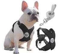 Pawaboo Puppy Harness and Lead Sets, Small Dog Harness X-Frame No Pull No Choke, Dog Vest Harness Adjustable for Small Medium Sized Dogs, Soft Breathable Pet Harness Walking Outing Outing (L, Black)